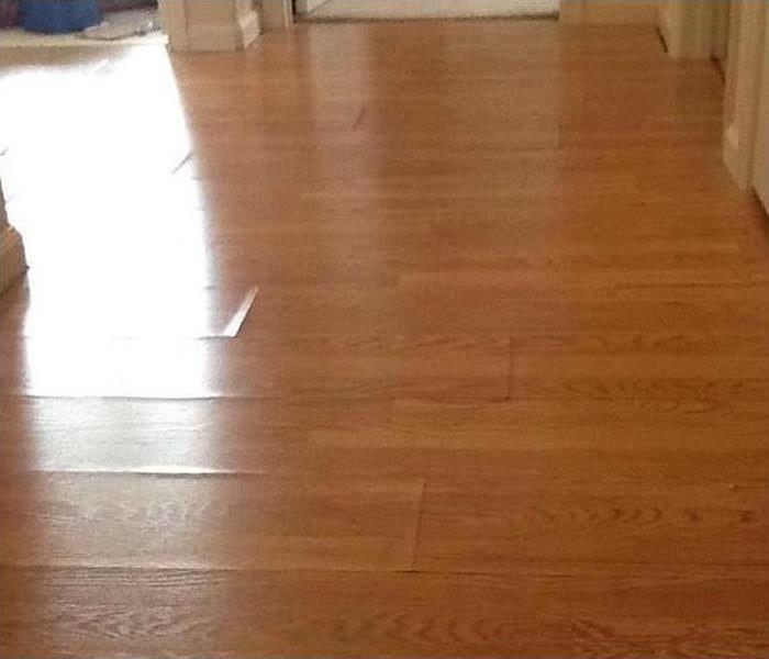 Wood Floor