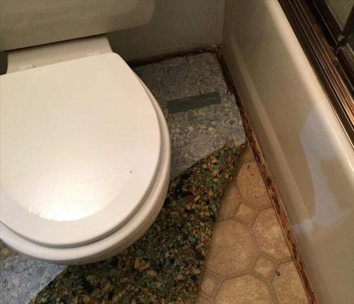 Toilet and water Damage 