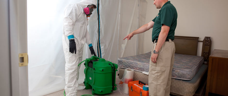 Lompoc, CA mold removal process